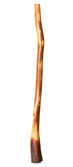 Satin Finish Ironbark Didgeridoo (IB218)